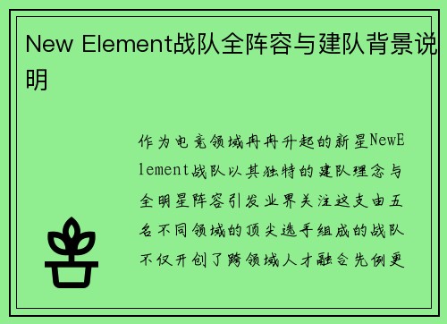 New Element战队全阵容与建队背景说明